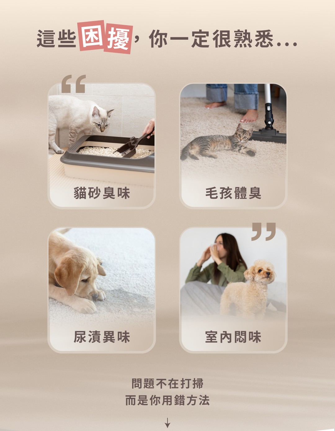 商品介紹圖 2