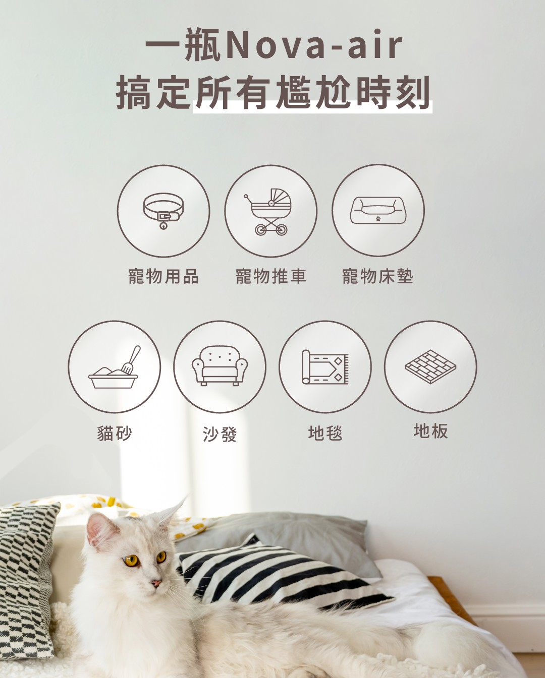 商品介紹圖 9
